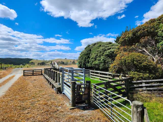 Babylon Coast Road Dargaville_1