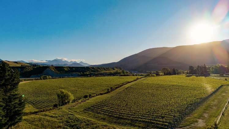 1829 Awatere Valley Road Awatere Valley_16