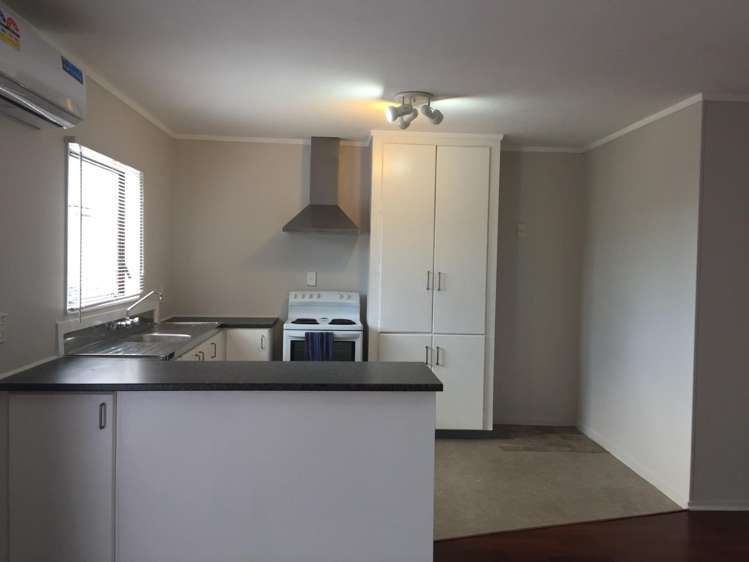 103B Bruce McLaren Road Henderson_2