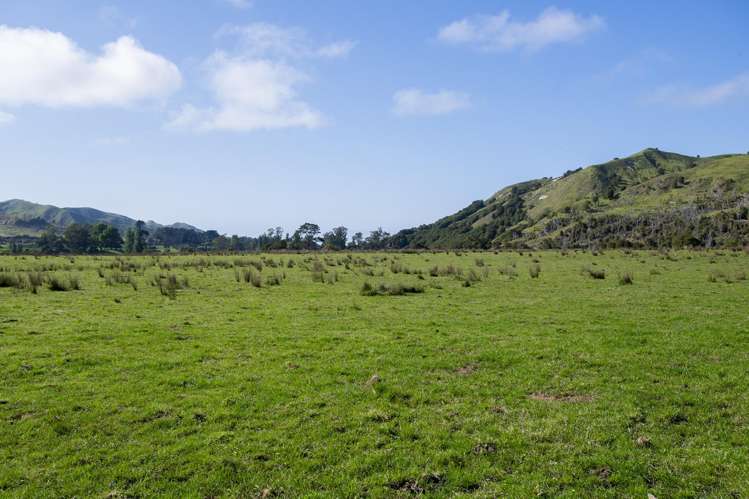 Waihua Valley Wairoa_12