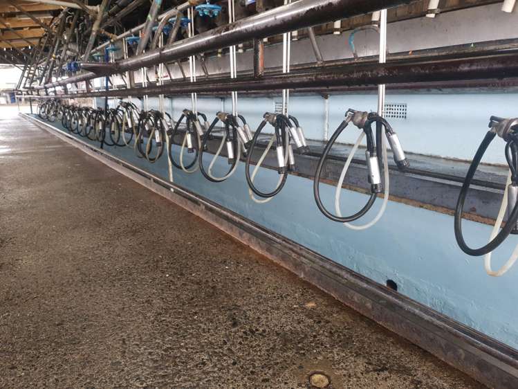 3308 State Highway 1 Hukerenui_10