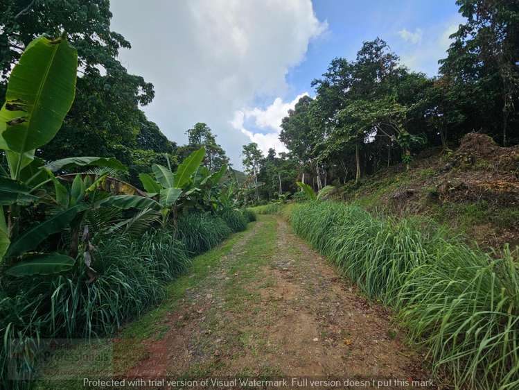 Address withheld Savusavu_13