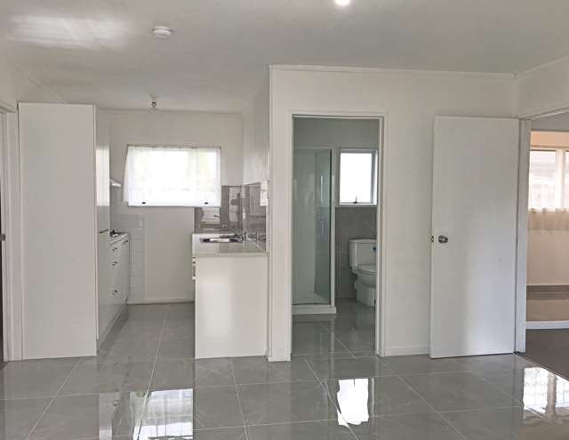 6A Tangelo Place Bucklands Beach_3