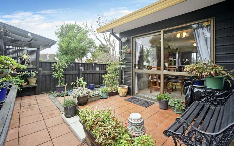 10b Tynan Street Te Puke_11