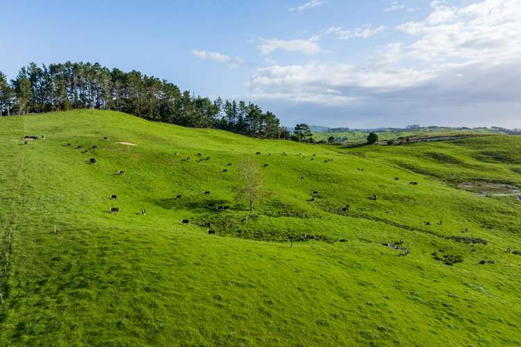 52 Gillon Road Matakohe_26