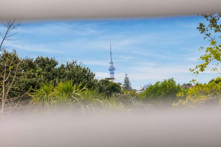 21B Newell Street Point Chevalier_11