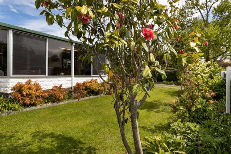 11 Bank Street Springlands_21