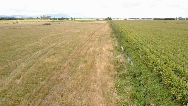 124 Tramline Road Patetonga_8