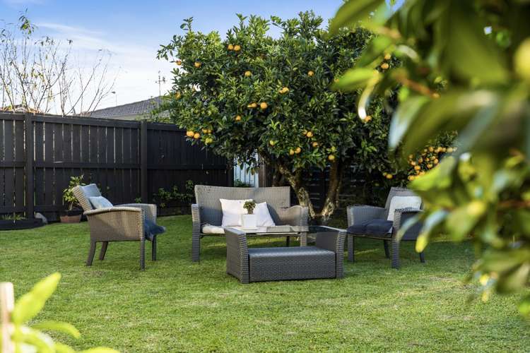 46b Pooles Road Greerton_18