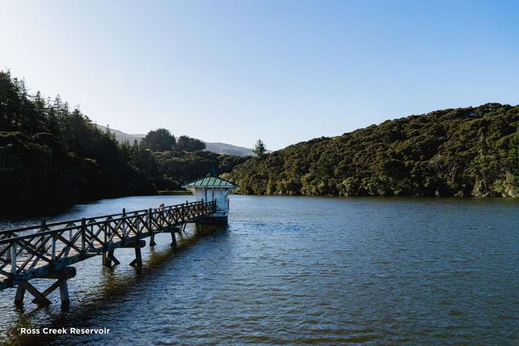 720 Highgate Maori Hill_18