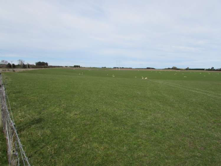 733 Koi Road Gore Surrounds_15