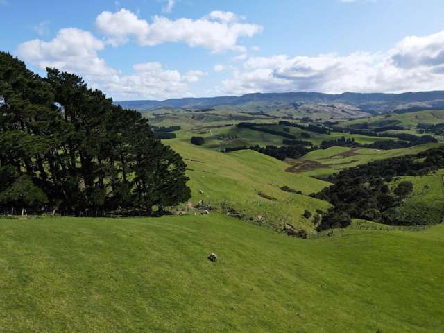 463 Waihi Valley Rd Dannevirke_3