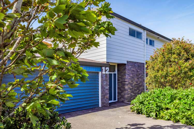12 Erin Street Hawera_1