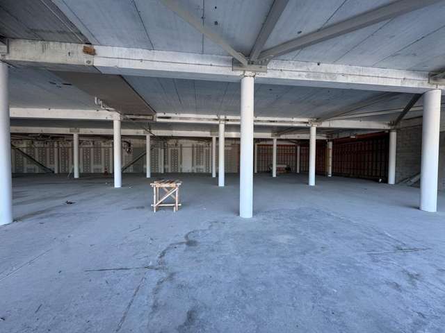 Ground/81 The Esplanade Petone_4