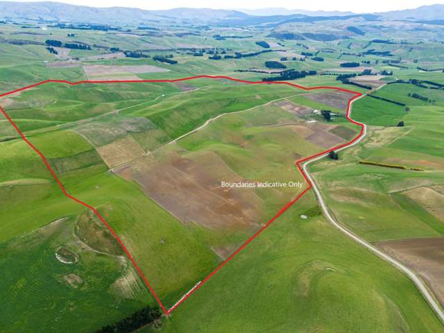 156 Elephant Hill Back Road Waimate_4
