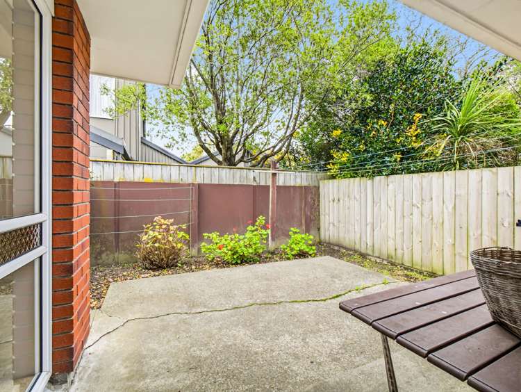 45 Dittmer Drive Awapuni_22
