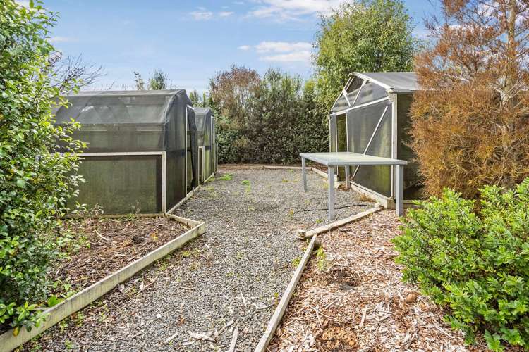 17 Fergusson Avenue Waipukurau and Surrounds_14