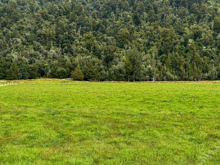 221 Docherty Creek Rd and Waiho Flat Road Franz Josef_33