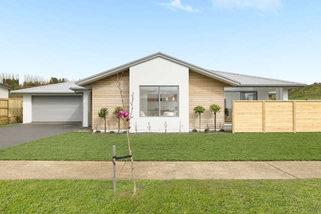 128 Whakaturou Crescent Pyes Pa_1