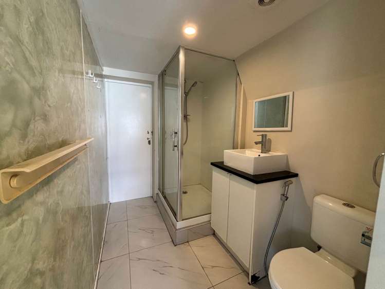 1/4 Preston Avenue Mount Albert_17