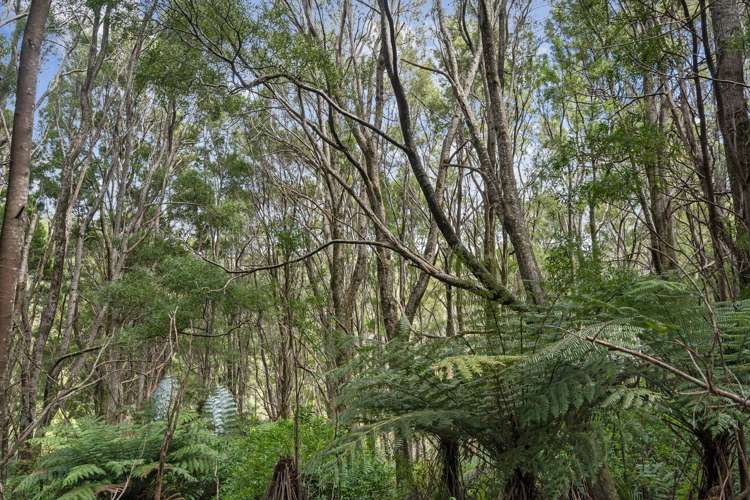 15 Waiparera Road Parua Bay_13