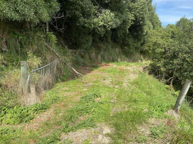 Upper Buller Gorge Road, Inangahua Reefton_2