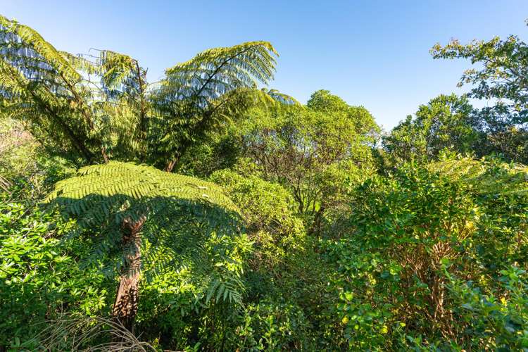 21B Colchester Crescent Newlands_14