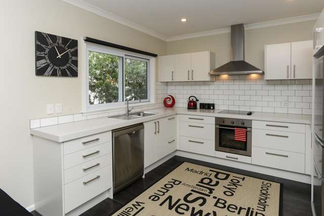 168 Te Awa Avenue Awatoto_4