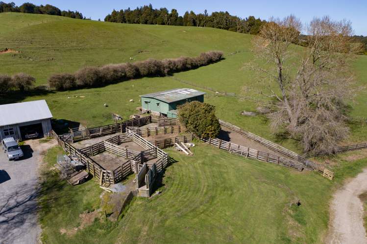 628 Pakaraka Road Kaimai Mamaku Conservation Park_17