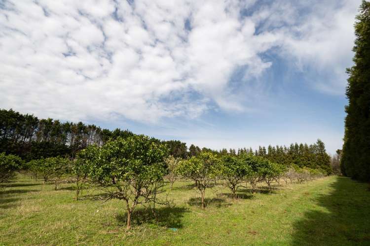 908A Te Ahu Ahu Road, Waimate North Kerikeri_22