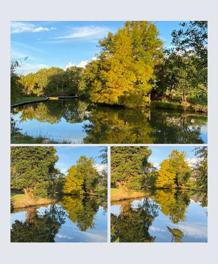 00 Waterfall Lane Kerikeri_26