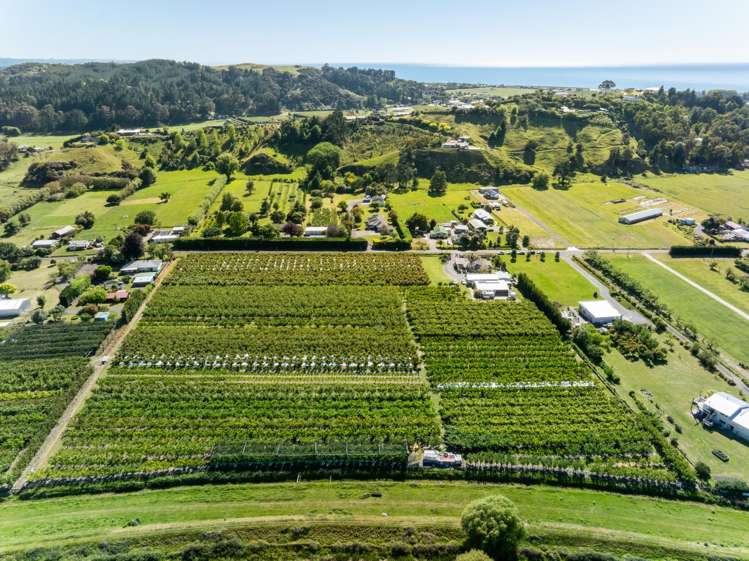 209 Onehunga Road Bay View_18