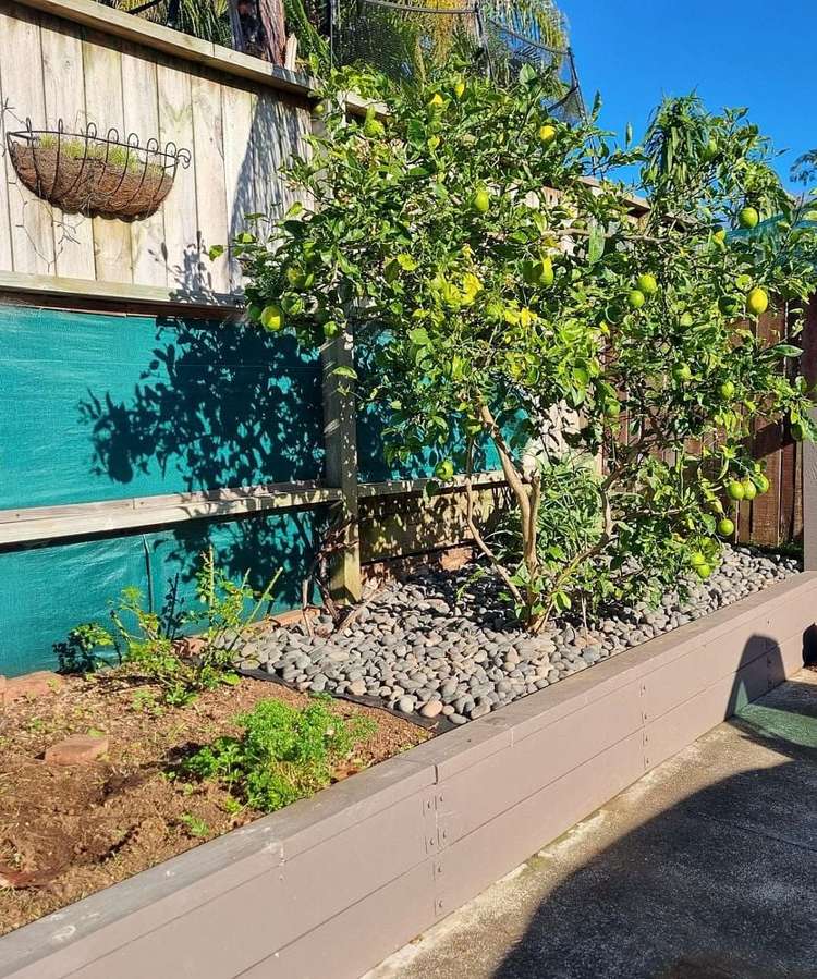 1/4a Elwood Place Ellerslie_9