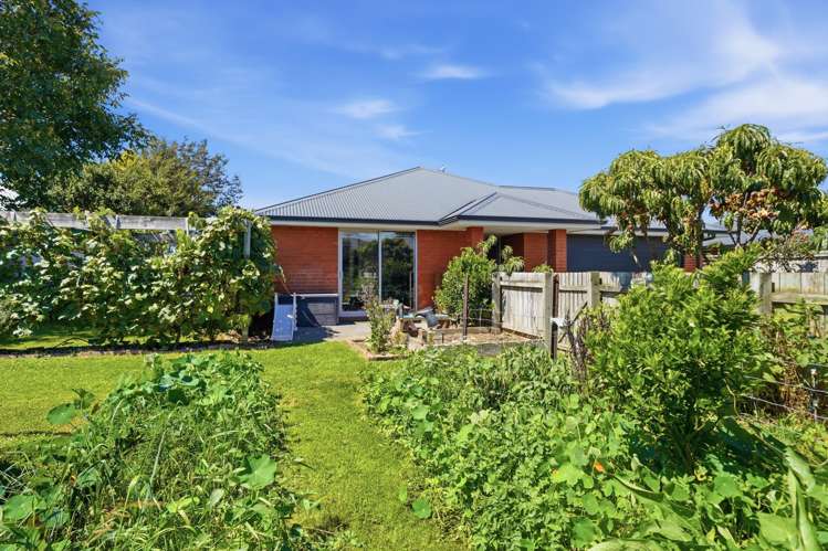 11 Walter Place Kirwee_22