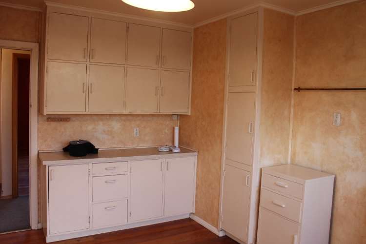 44 Horace Street Cromwell_5