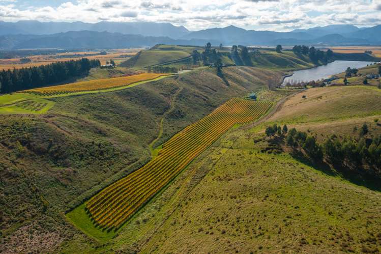 488 Delta Lake Heights Renwick_6