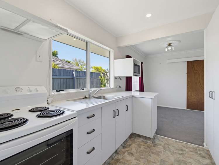 107a Vogel Street Roslyn_6