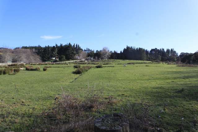 202 Pine Valley Road Dairy Flat_3