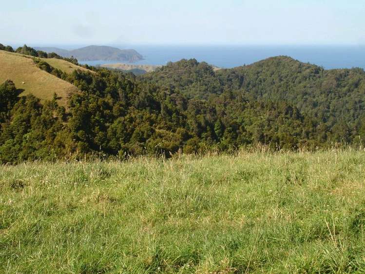 361 Kaiikanui Road Hukerenui and Surrounds_32