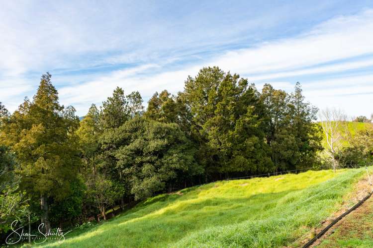 16 Nikau Lane Maungaturoto_39