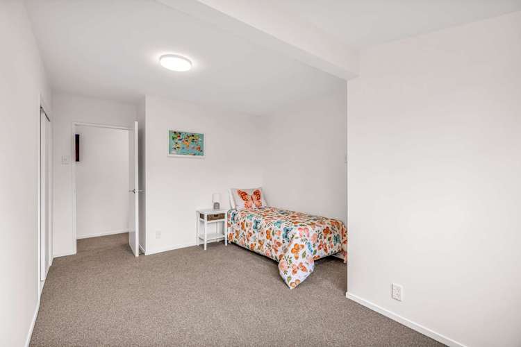 101 South Town Belt Rakaia_14