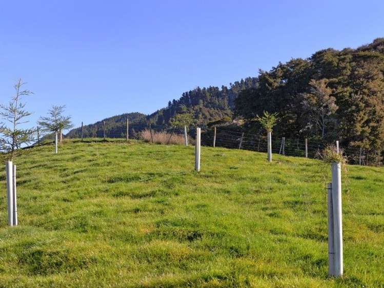 40 Lloyd Valley Road Thorpe_6