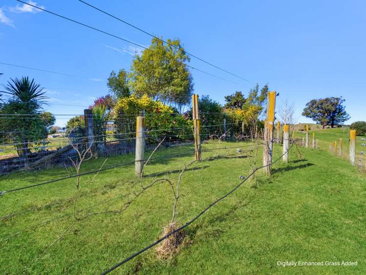 2484 Moutere Highway Upper Moutere_25