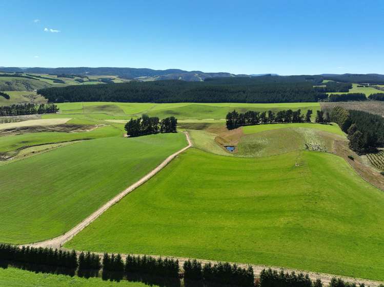 548 Mitchell Road Glenham_4