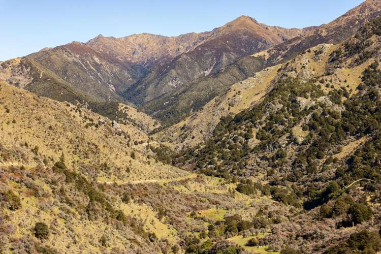 4098 Waihopai Valley Road Waihopai Valley_16