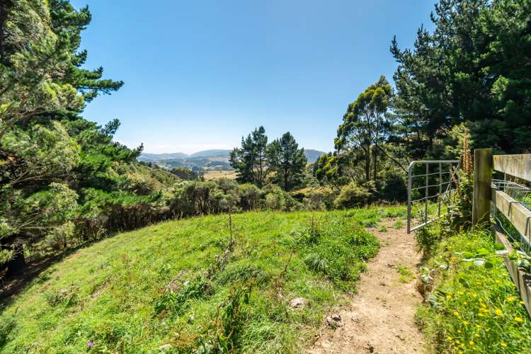 233b Murphys Road Judgeford_10