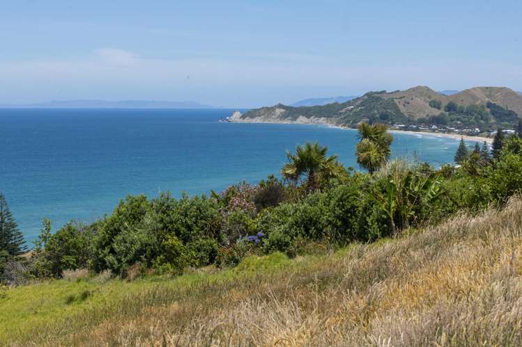 91 Winifred Street Okitu_18