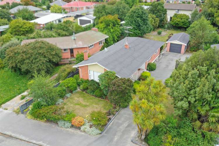 33 Bird Street Hampstead_14