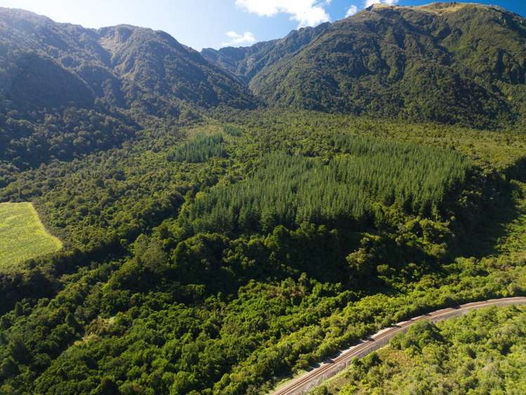 Bell Hill Road Inchbonnie_8