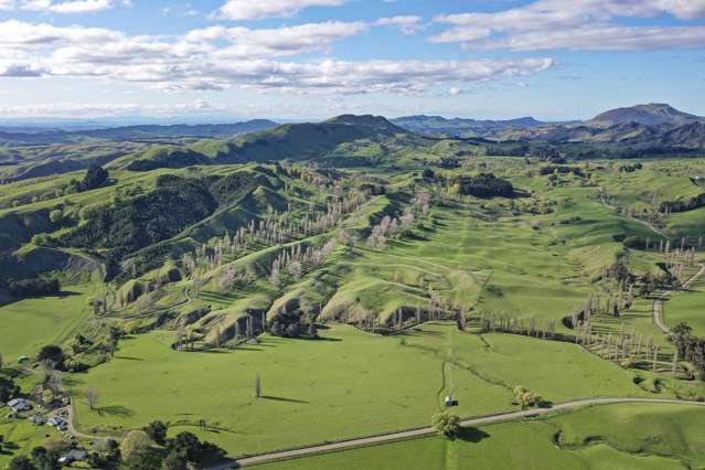 Techno, cells and limestone hills